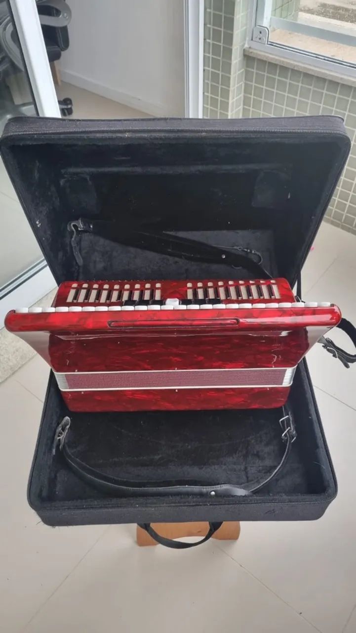 Acordeon Eagle 120 baixos