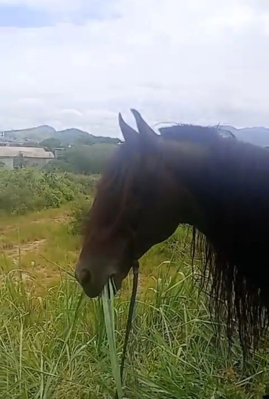 Vendo ou troco  - Foto 4