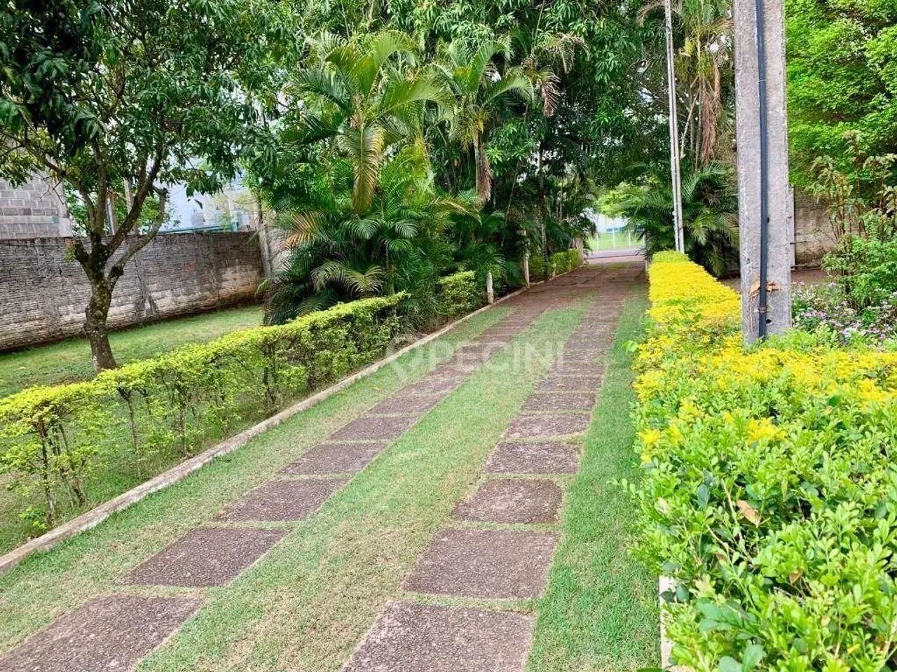 Casa com 4 quartos no Alan Grei em Rio Claro. - Foto 2