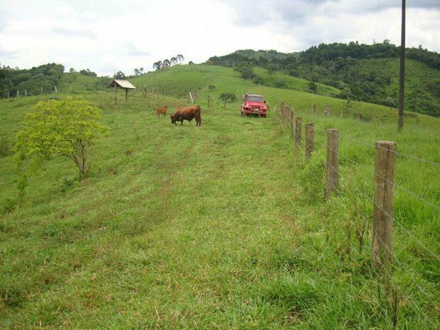 Linda fazenda porteira fechada - Foto 6