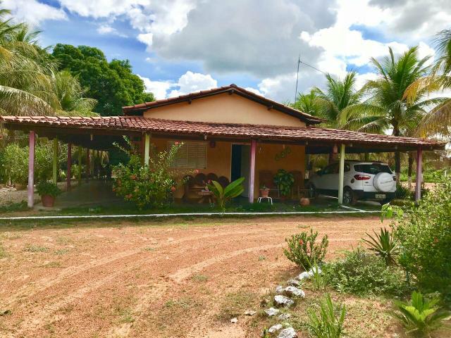 Faz. 12 alqueires à 30 km de Imperatriz- porteira fechada * - Foto 2