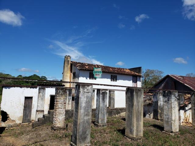 Ilhéus. Fazenda com 368 Hectares cultivo de cacau e gado - Foto 7
