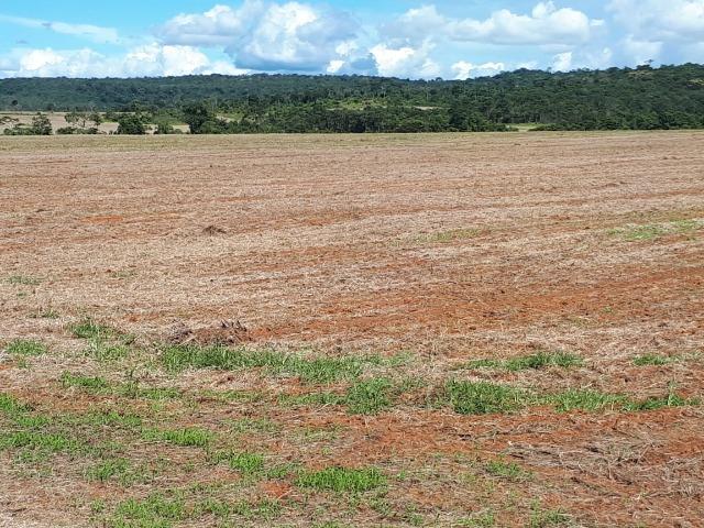 200 hectares, 20 km de Guarantã do Norte -MT