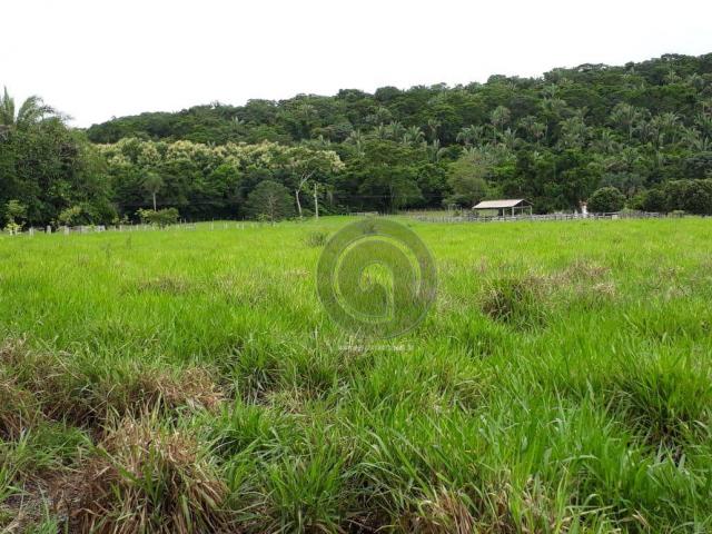 Chacara 40 hectares em mimoso - Foto 20