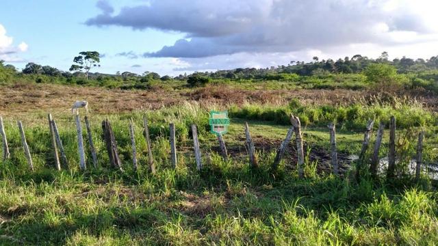 Itagibá. Fazenda pecuária de 375 Hectares com toda infraestrutura. - Foto 8
