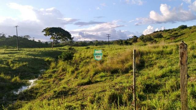 Itagibá. Fazenda pecuária de 375 Hectares com toda infraestrutura. - Foto 7