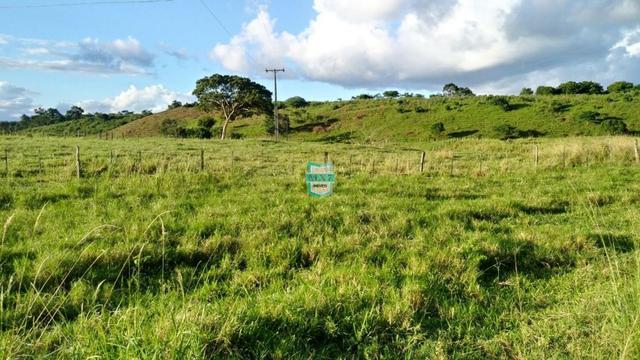 Itagibá. Fazenda pecuária de 375 Hectares com toda infraestrutura. - Foto 2