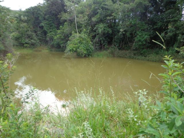 Terrenos, Sítios e Fazendas 70 Há Região de Para de Minas-MG - Foto 2