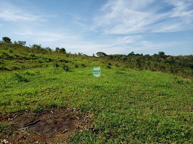 Ubaitaba. Fazenda com 140 Hectares. Mista de cacau e gado - Foto 4