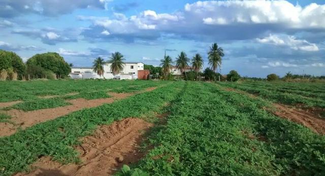 Fazenda a Venda - Foto 9