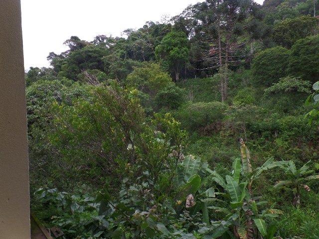 139 - Sitio em Pessegueiros - Teresópolis - R.J - Foto 4