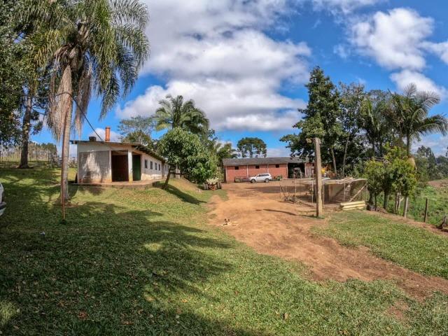 Fazenda (185 alqueires) - Cerro Azul - Foto 13