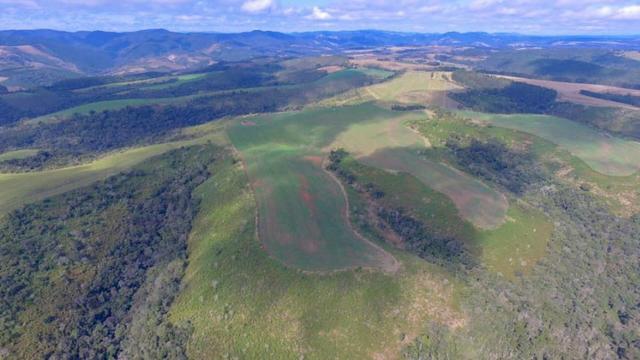Fazenda (185 alqueires) - Cerro Azul - Foto 6
