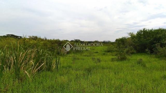 Sítio à venda em Boa vista do sul, Porto alegre cod:291552 - Foto 2