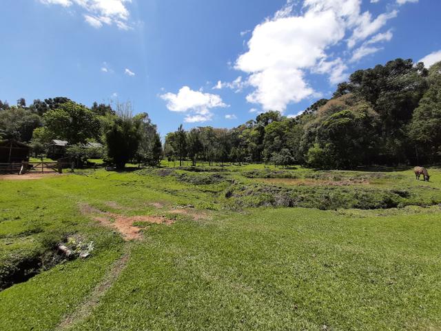 Chácara de 5.3 Alqueires com Pínus e Eucalipto . Guairacá- Guarapuava PR - Foto 6