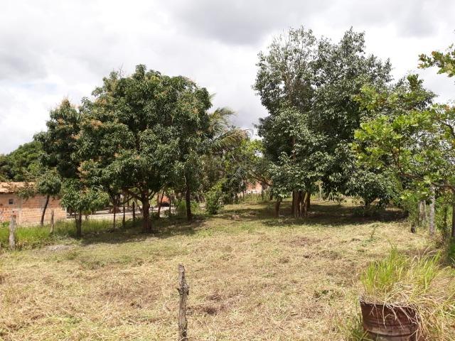 Terreno em Leandrinho 1.000 m² - R$ 25.000,00 - Foto 3