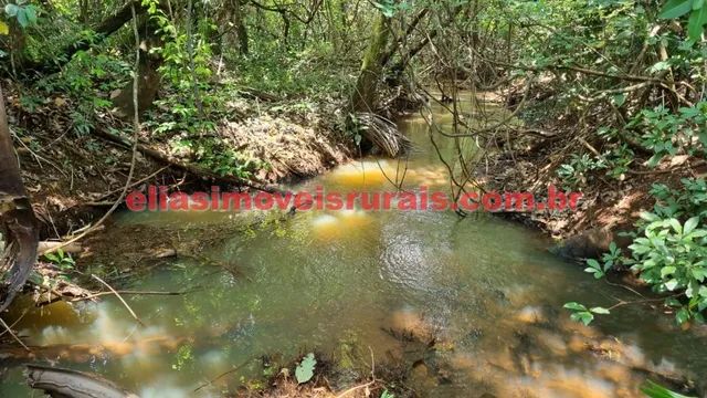 Sítio 5,9 alqueires - Próximo Trevão - Foto 2