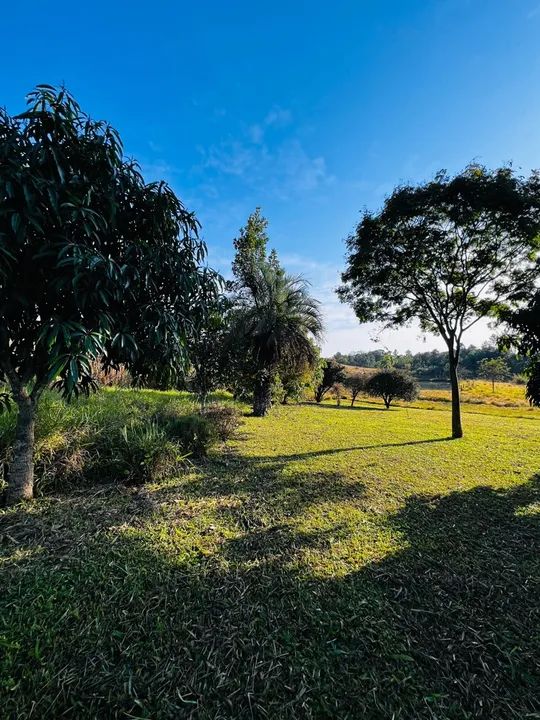Taquara RS 10.8 hectares OPORTUNIDADE - Foto 4