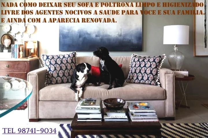 Lavagem e Higieniaçao de Sofas 
