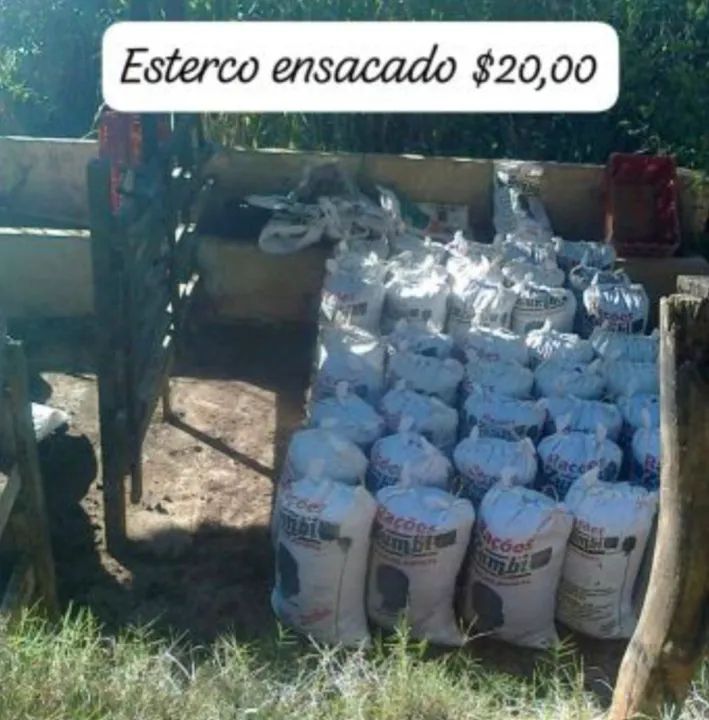 Leite,galinha e estrume de gado  - Foto 3