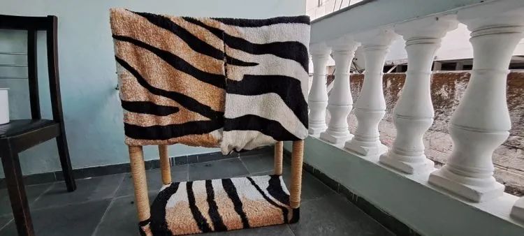 Casa desmontável para gato - Foto 3