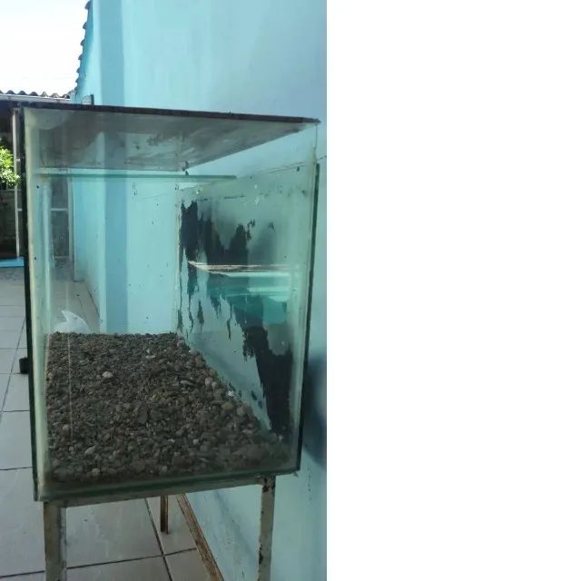 Aquário com Suporte, Tampa e Pedras - 72 Litros - Foto 3