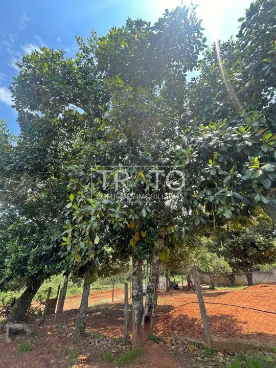 chácara - Loteamento Chácaras Gargantilhas - Campinas - Foto 3