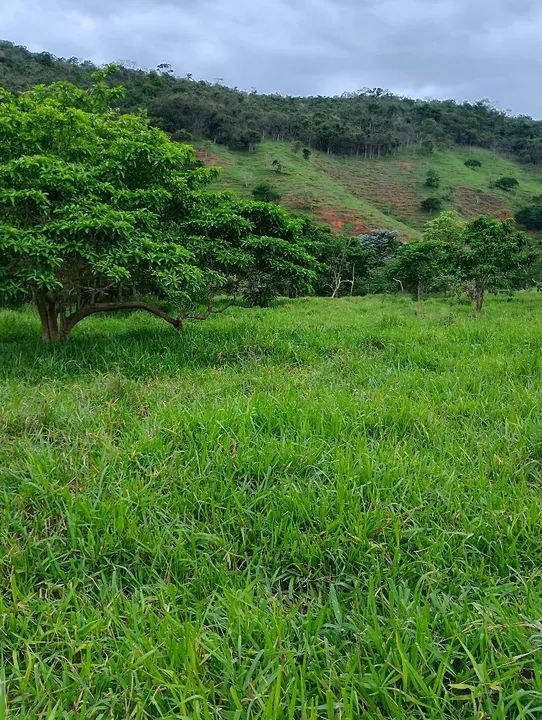 Fazenda a venda  - Foto 14