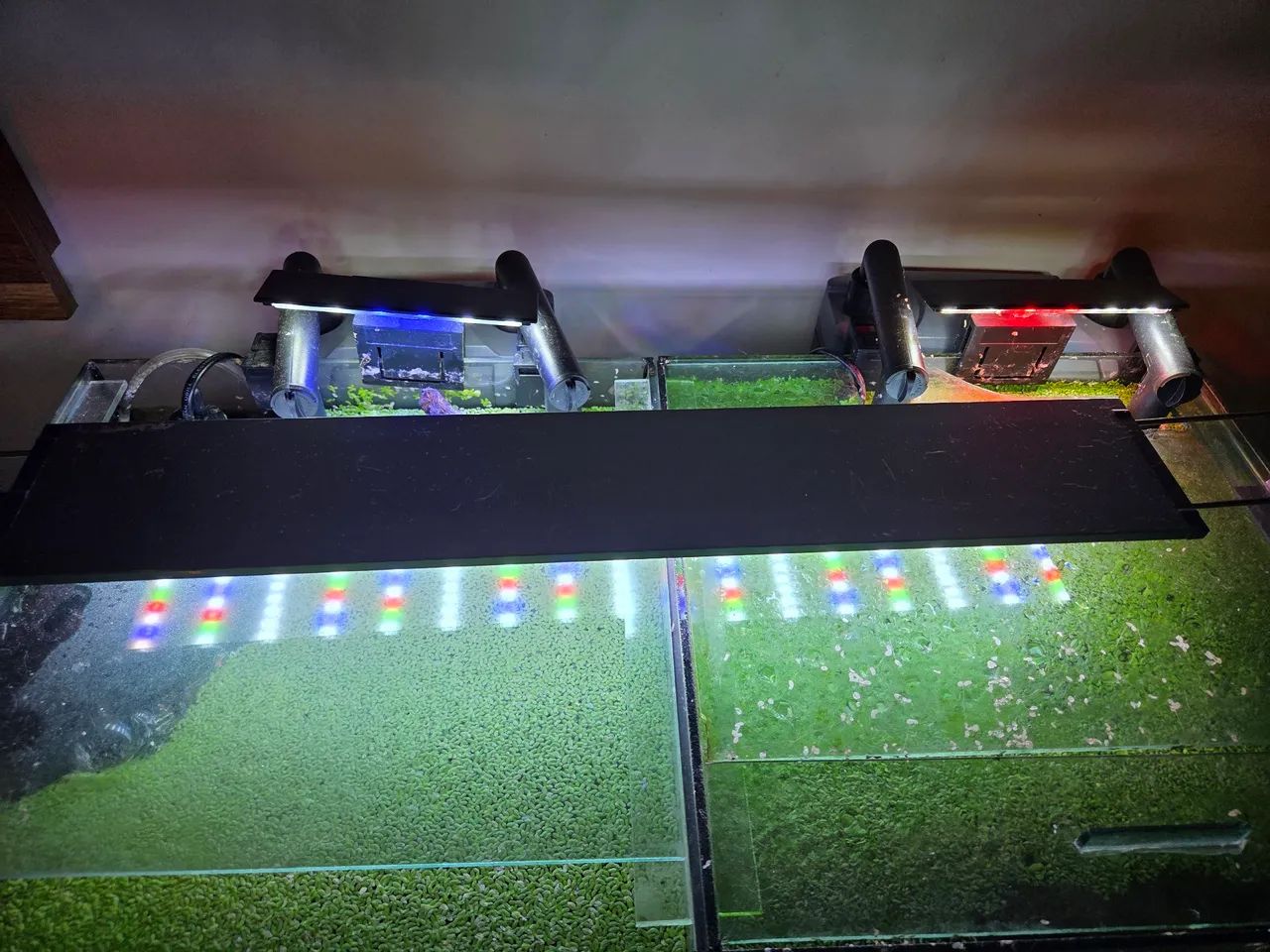 Aquários 30x30  Conjunto Completo com Móvel e Filtros - Foto 5