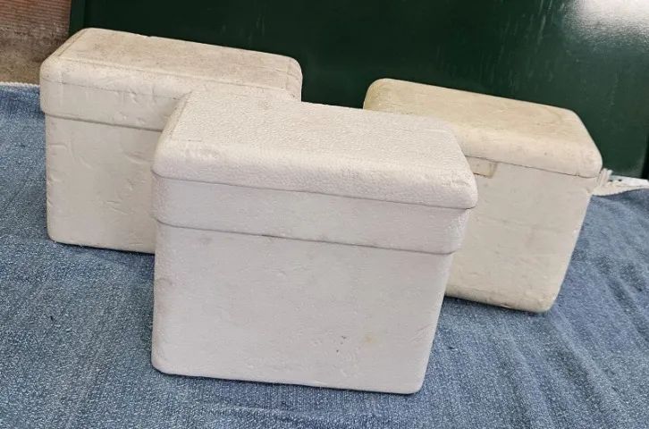 Caixas térmicas de isopor pequenas