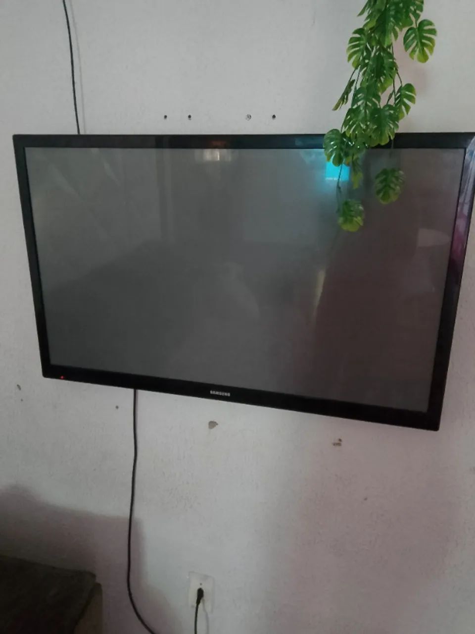 Televisão 