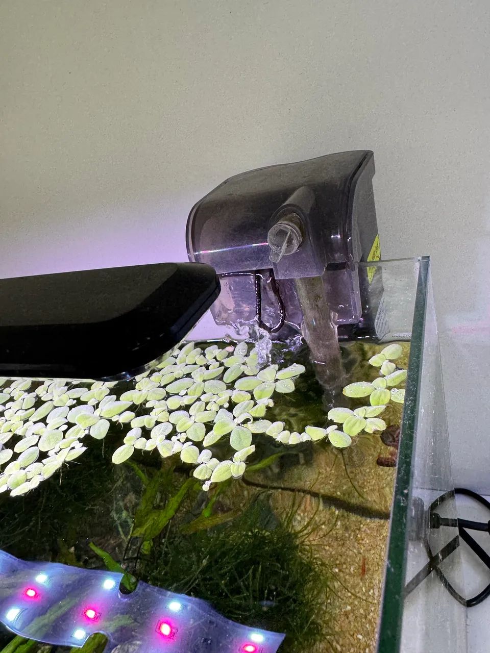 Aquário de 20l - Foto 3