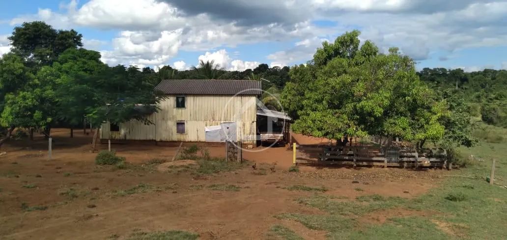 FAZENDA 508HÁ, RIBEIRÃO CASCALHEIRA - Foto 4