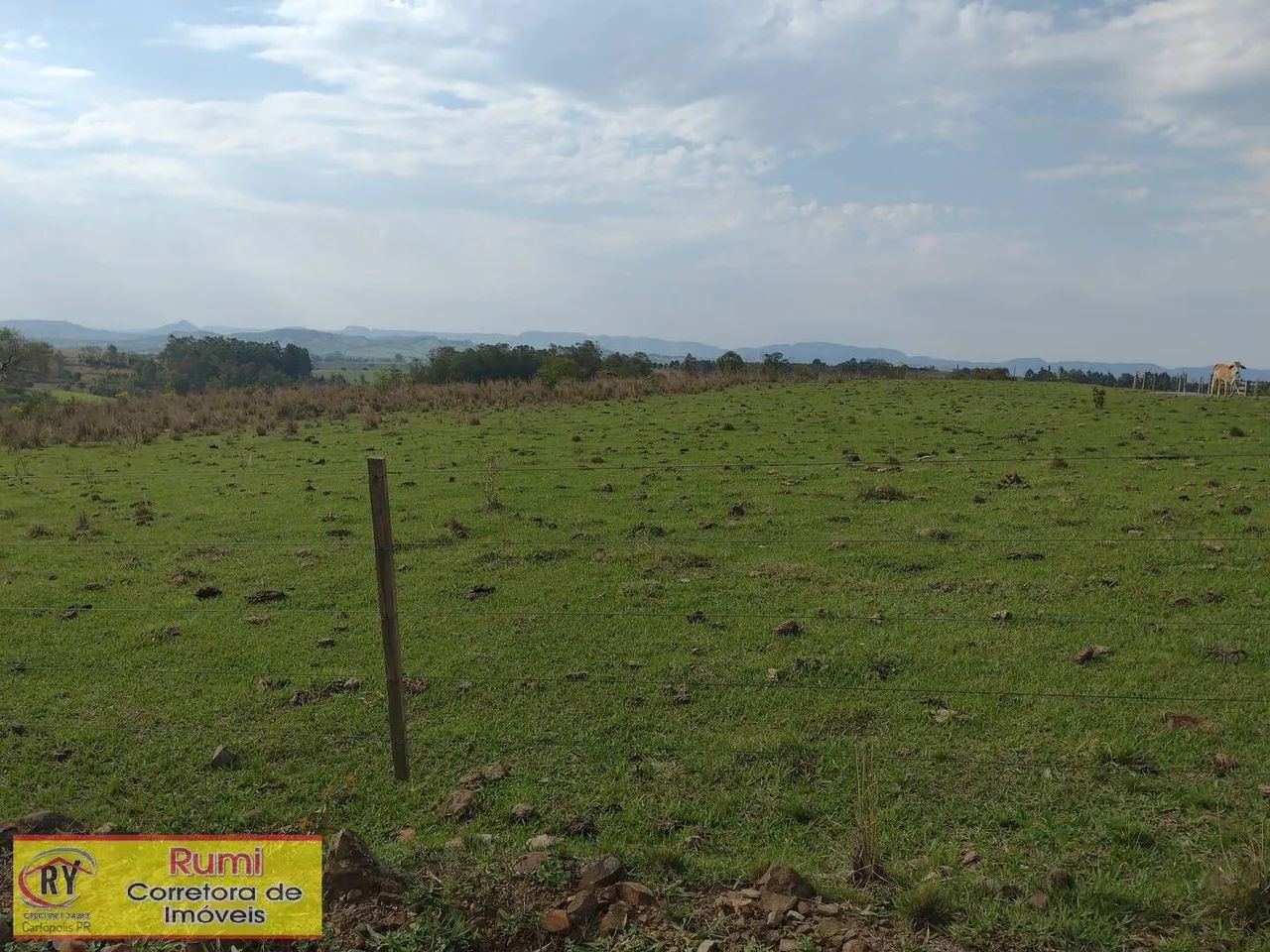 Vende-se Sítio 4.75 alqueires em Carlopolis PR - Foto 3