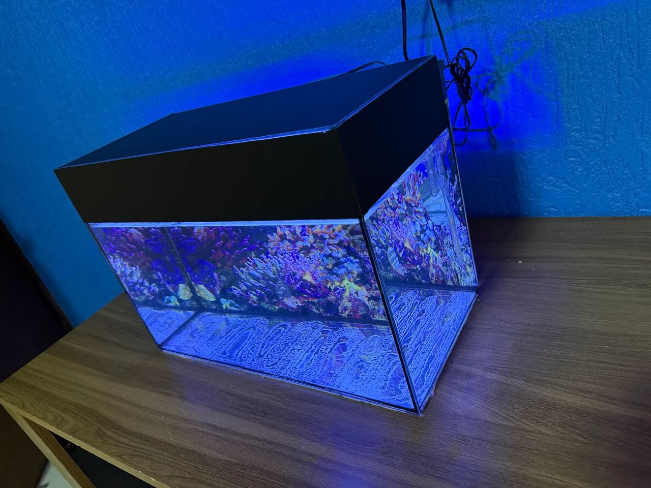 Aquário 19L completo  - Foto 2