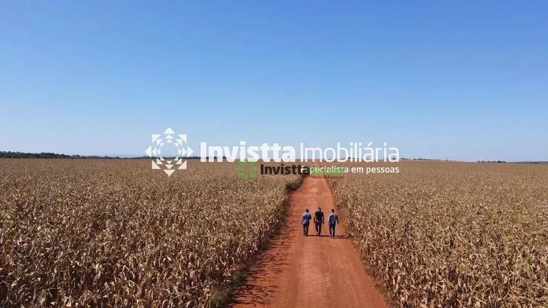 Fazenda à venda, 1400 m² por R$ 120.000.000,00 - Luzimangues - Porto Nacional/TO