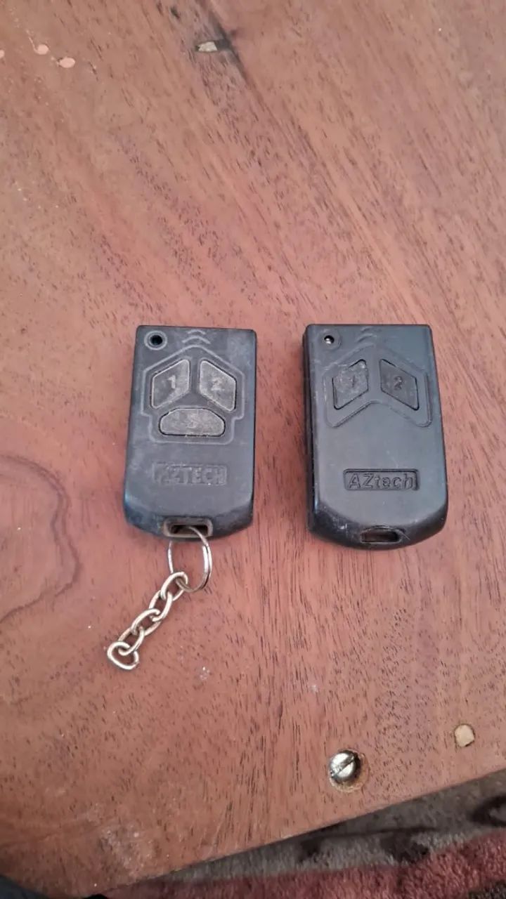 Electronic gate with remote control.64315482748289120