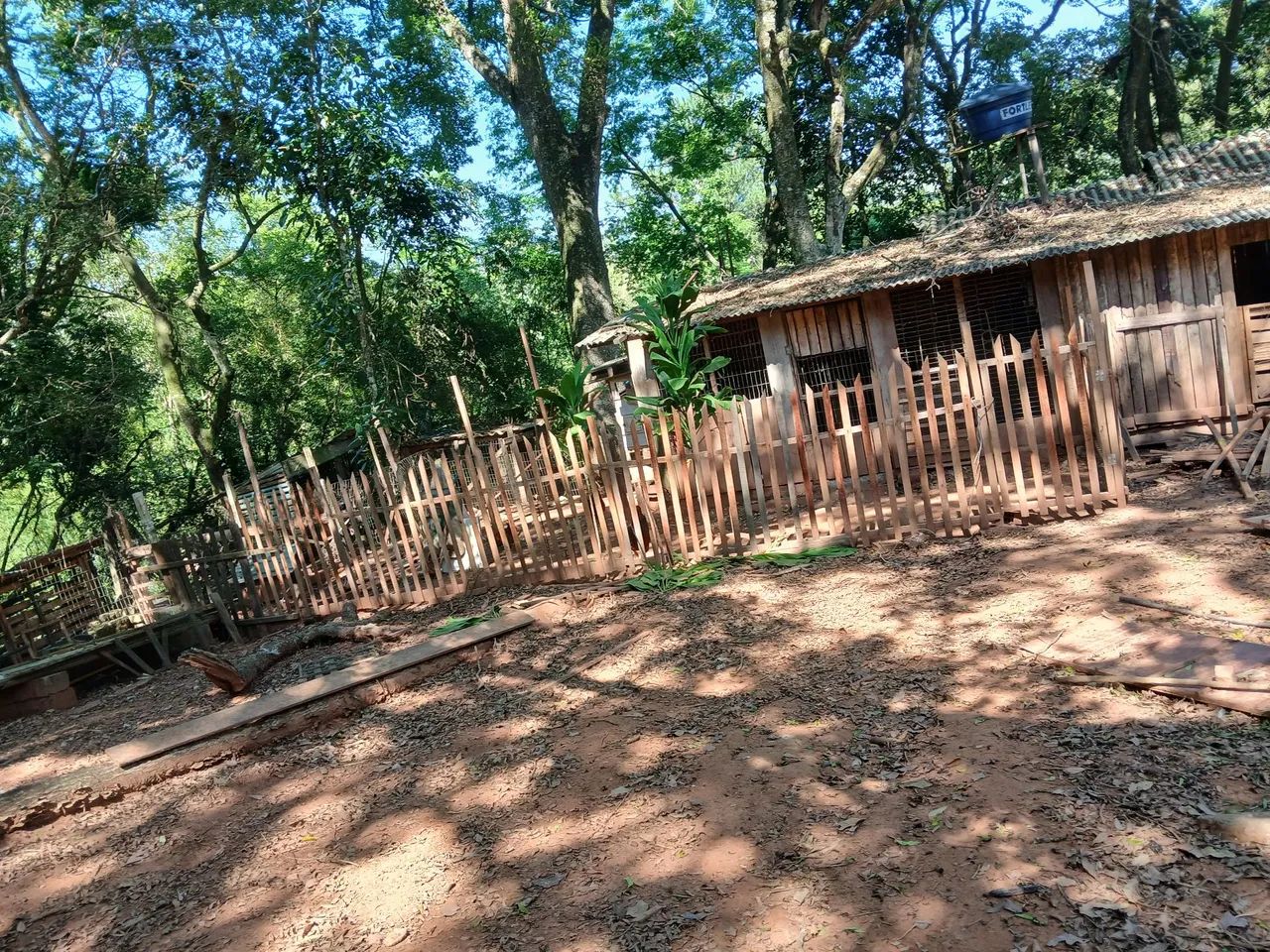 Sítio com pomar e casa sede - Foto 9