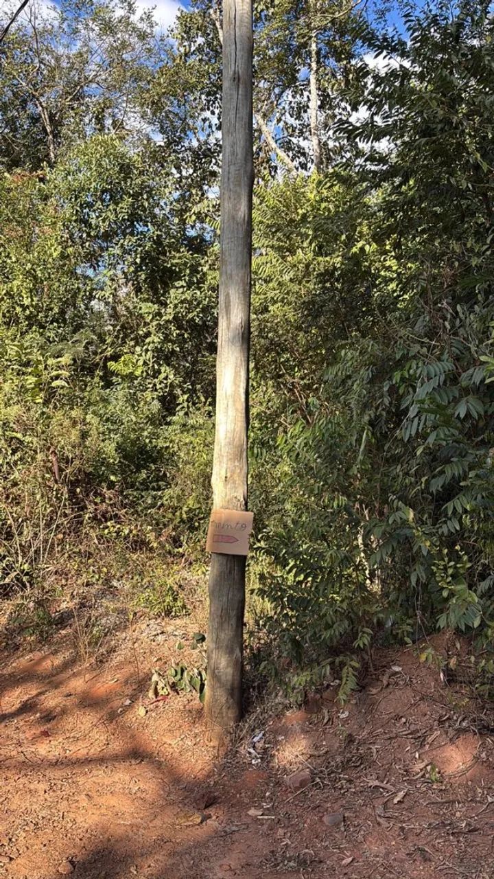 CHÁCARA EM BRUMADINHO  ESTRADA DE SUZANO!!! - Foto 13