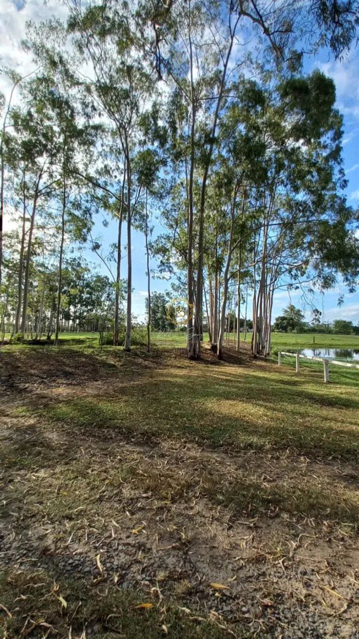 Sítio usado à venda em Nova Santa Rita, Porto da Figueira REF: CS0108 - Foto 8