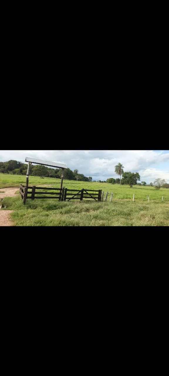Serviços gerais da fazenda (somente para moradores de Mato Grosso)