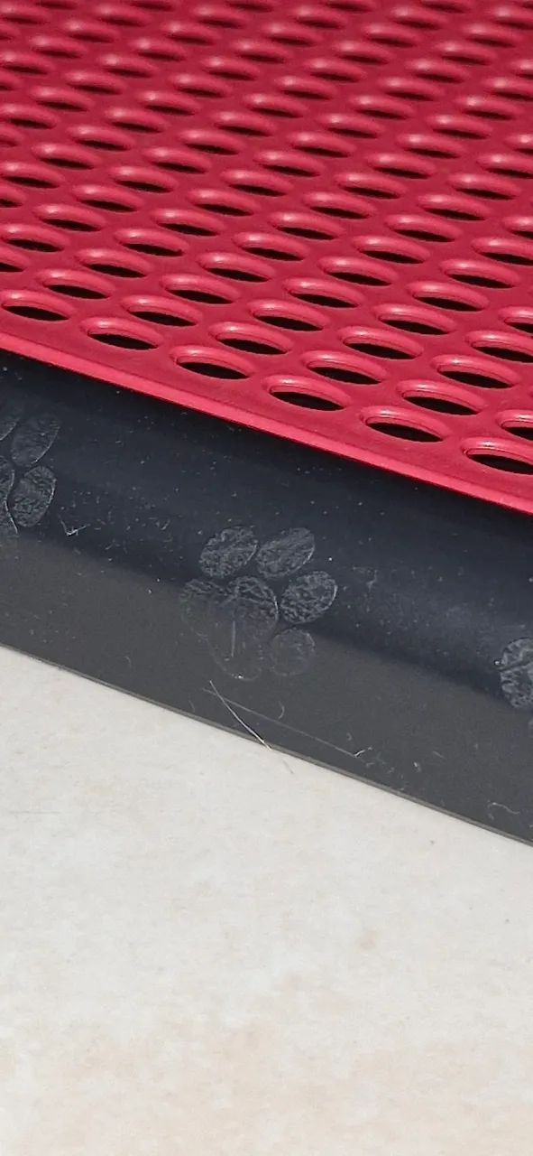 Kit Sanitário Canino Tapete Higiênico c/ Postinho Cone Educador Xixi Pet - Foto 5