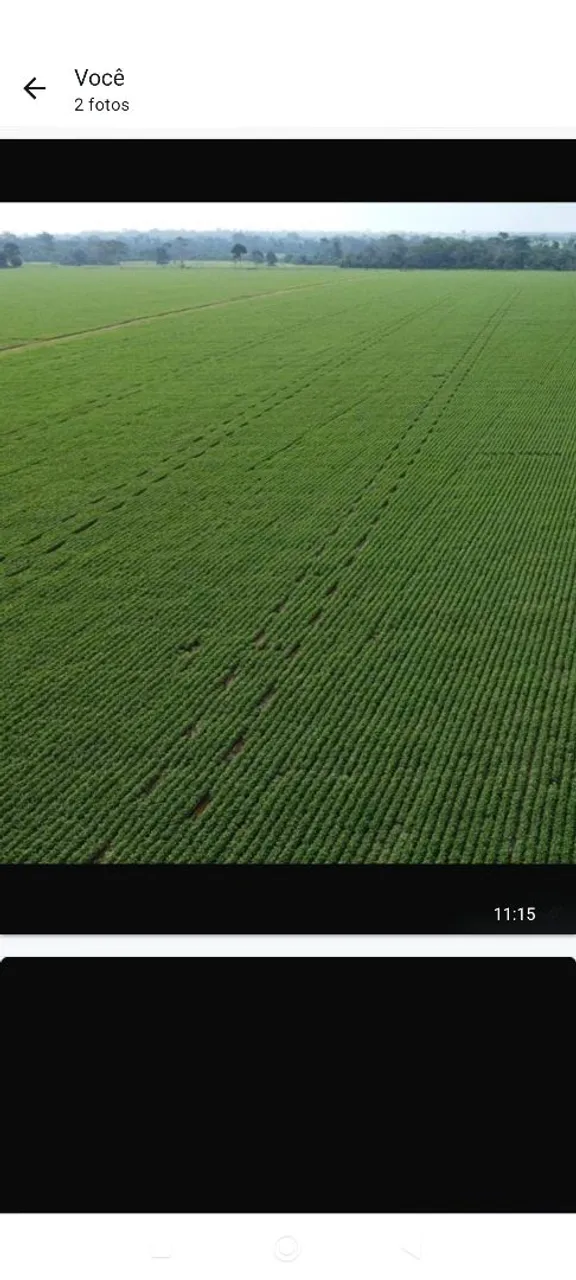 Fazenda de arrendamento 6.500hec plantando em Juara MT.