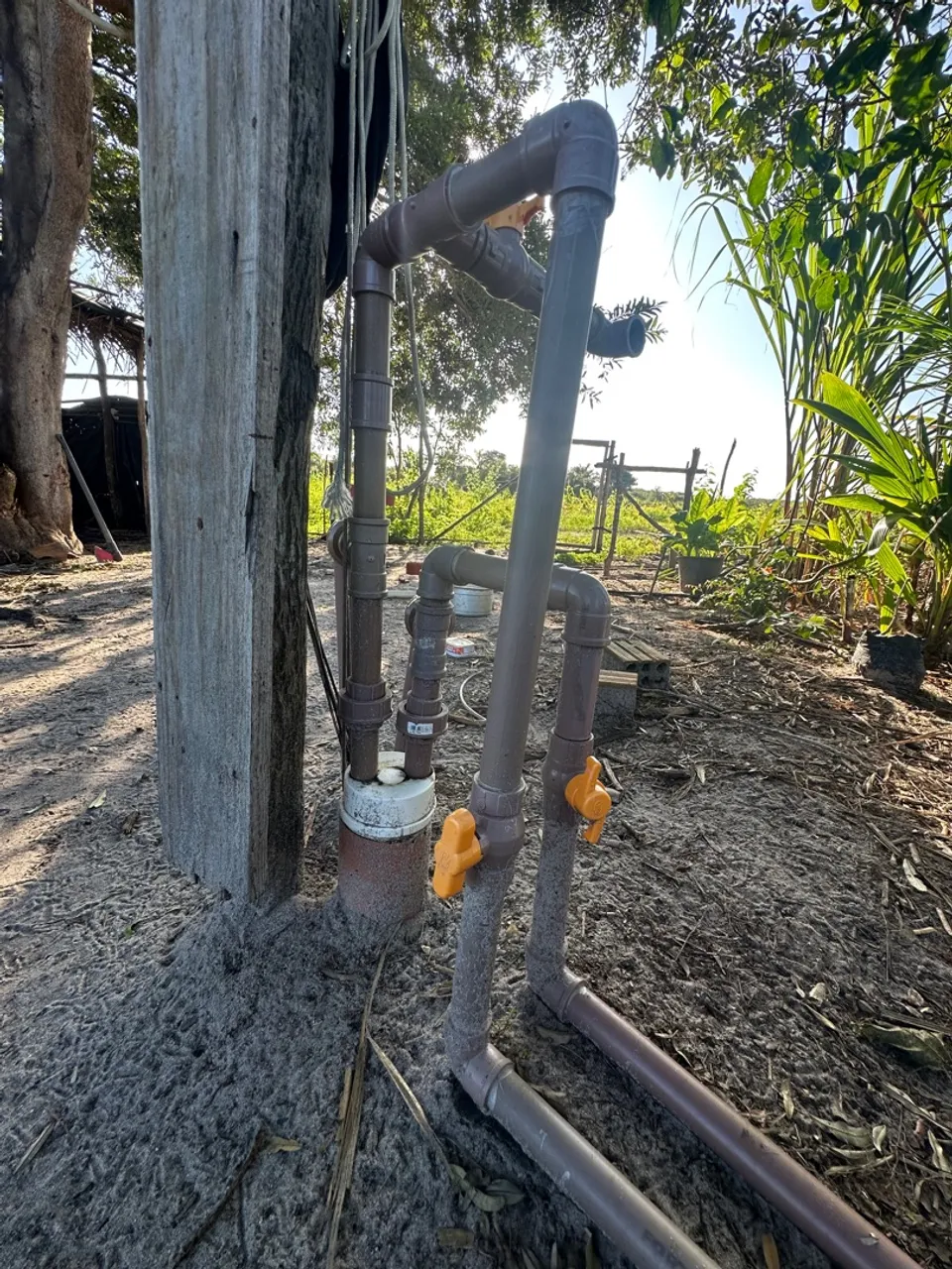 VENDO TERRA PRODUTIVA 35 HECTARES