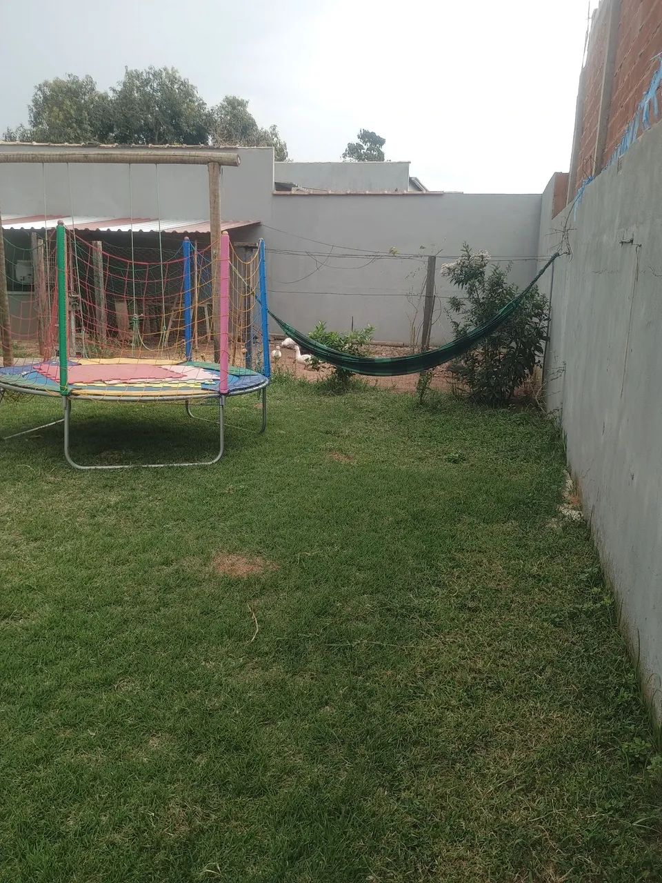 Área de está em terreno. - Foto 4