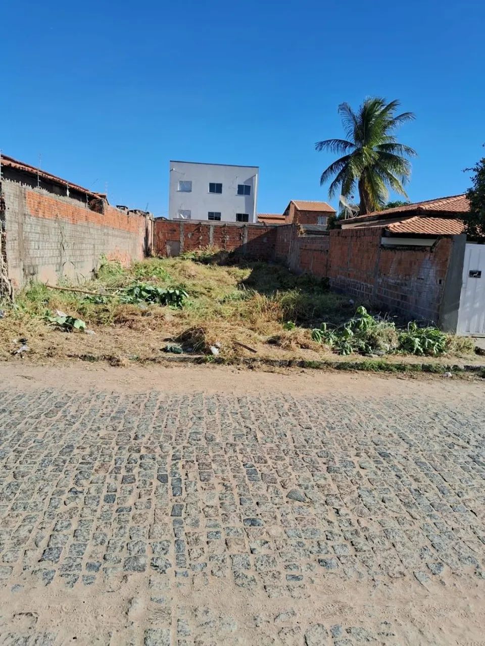 Venda de lote 300m² - Foto 4
