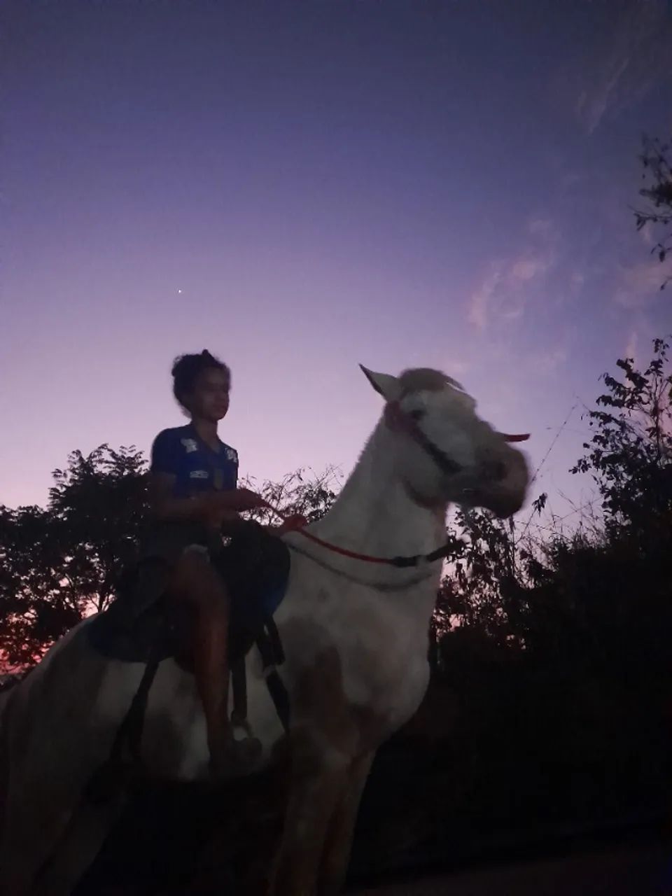 Chácara 1.000m² - Foto 5