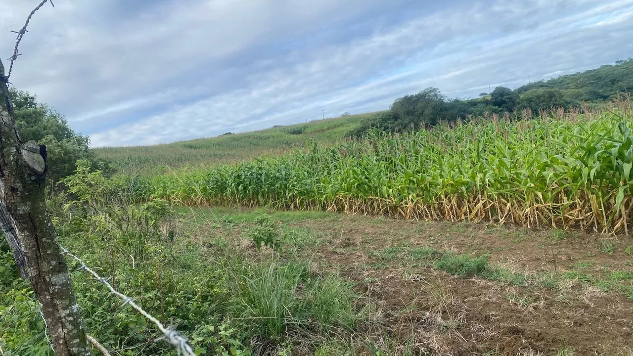 Terreno à venda - Japoatã/SE - Foto 2