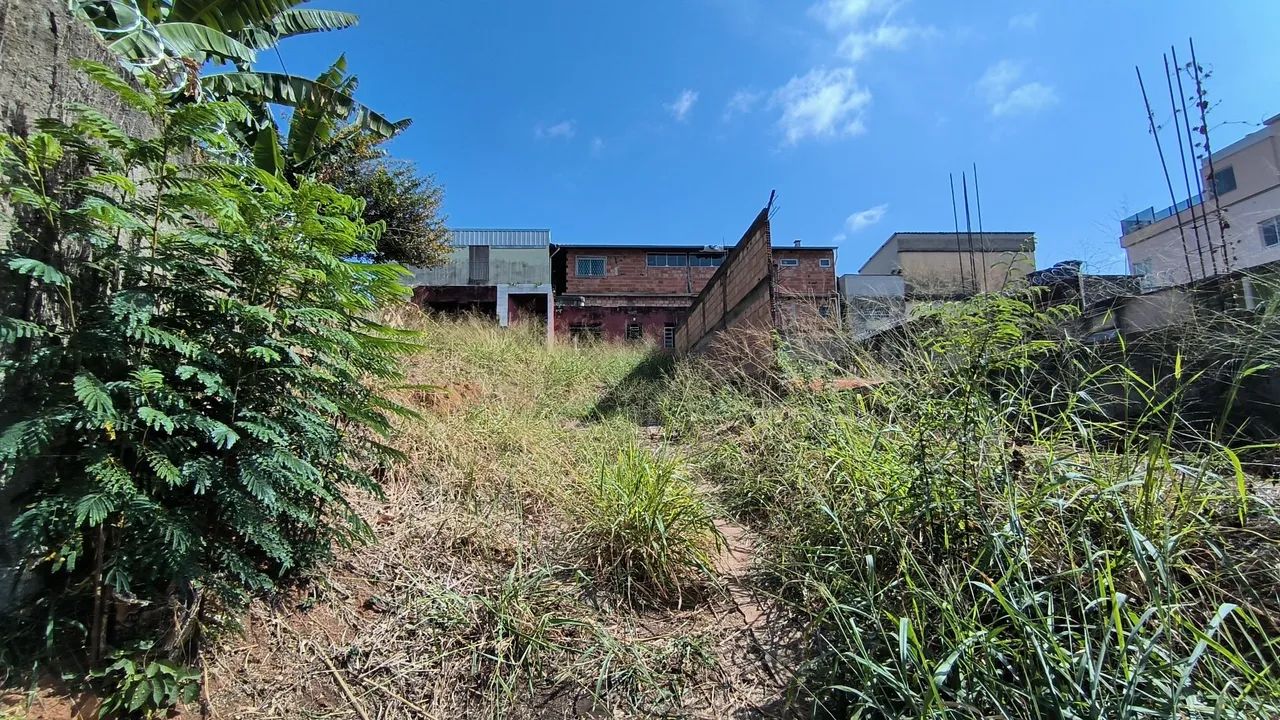 Lote 620m² à venda no Palmeiras. - Foto 4