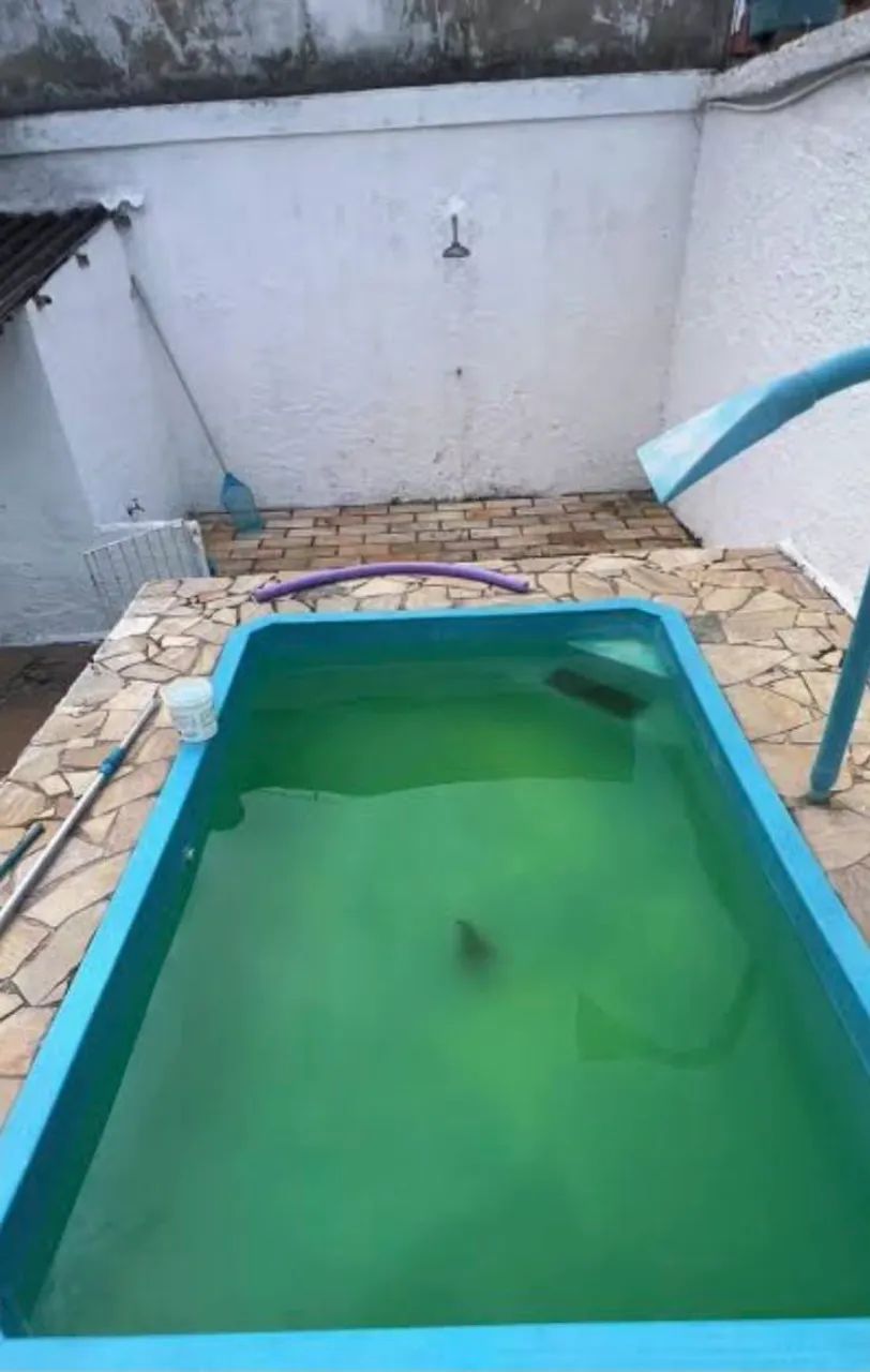 Limpador de piscina 